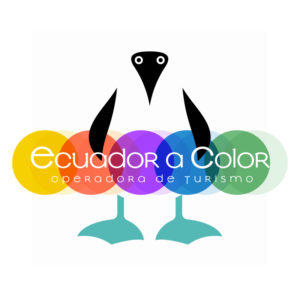 Ecuador a Color Tours Quito Ecuador