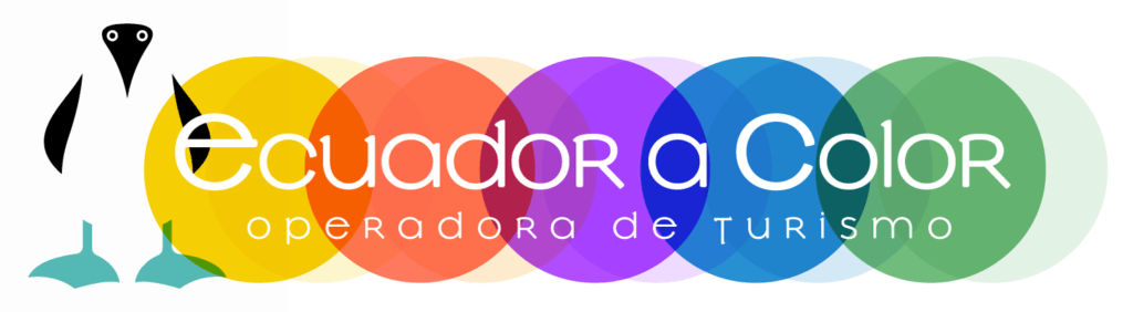 Ecuador-a-Color-Logo