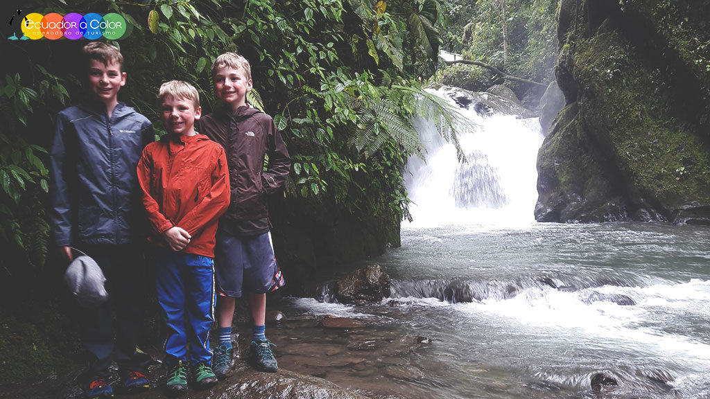 Mindo Cloud Forest Adventure Day Tour Mindo Cloud Forest Adventure Day Tour