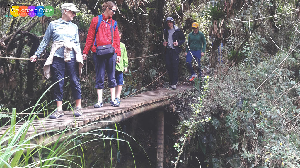 Papallacta Hot Springs Day Tour Ecuador Papallacta Hot Springs Day Tour Ecuador