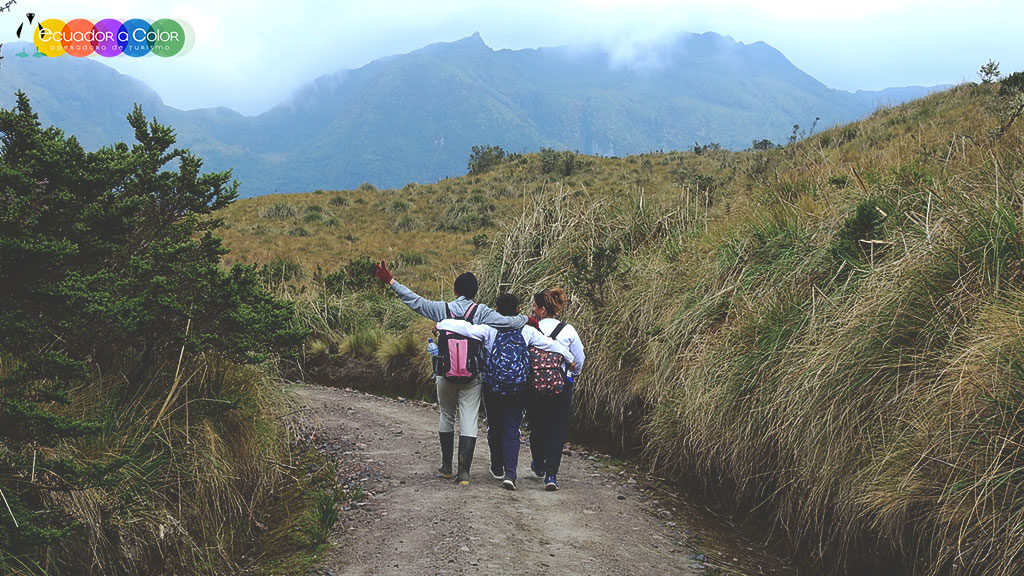 Cayambe Coca Reserve Hiking Papallacta Hot Springs Full Day Tour Cayambe Coca Reserve Hiking Papallacta Hot Springs Full Day Tour