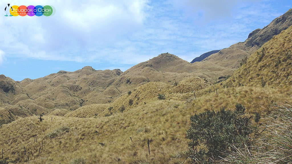 Cayambe Coca Reserve Hiking Papallacta Hot Springs Full Day Tour Cayambe Coca Reserve Hiking Papallacta Hot Springs Full Day Tour