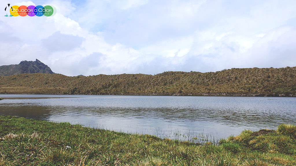 Cayambe Coca Reserve Hiking Papallacta Hot Springs Full Day Tour Cayambe Coca Reserve Hiking Papallacta Hot Springs Full Day Tour